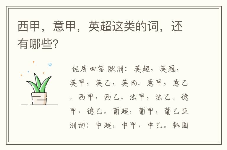 西甲,意甲,英超这类的词,还有哪些?