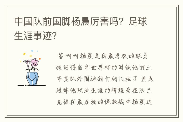 中国队前国脚杨晨厉害吗?足球生涯事迹?