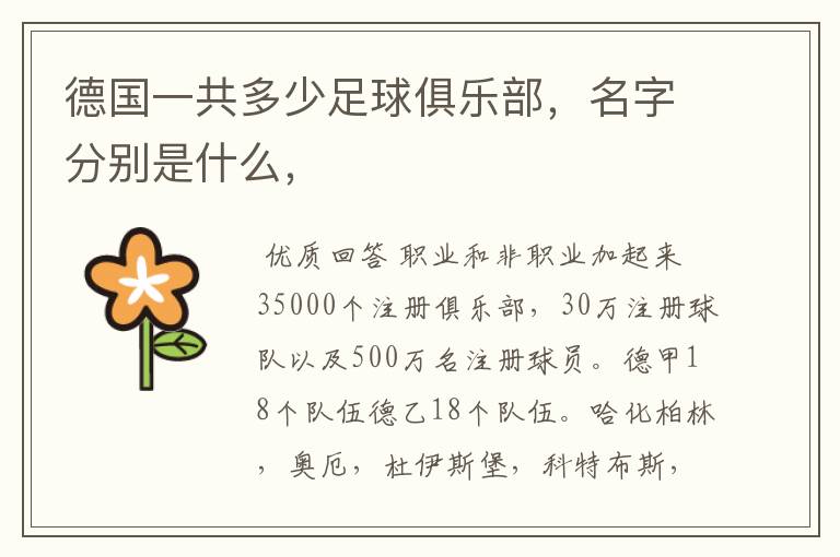 德国一共多少足球俱乐部,名字分别是什么,