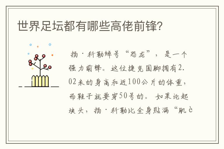 世界足坛都有哪些高佬前锋?