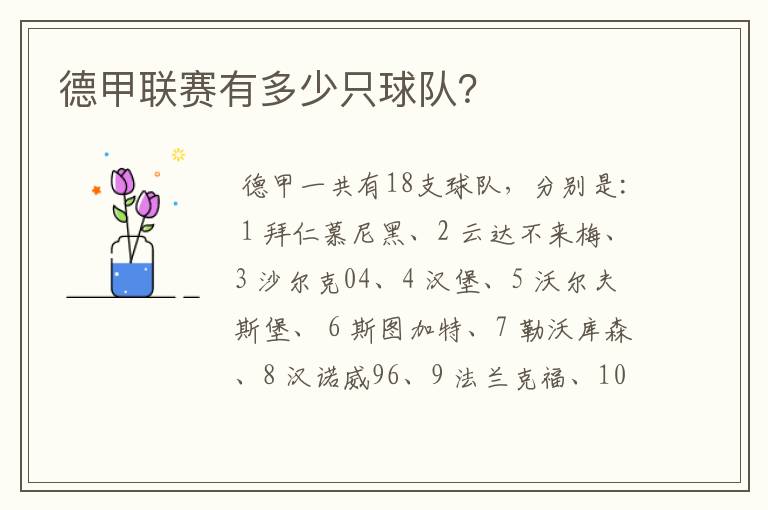 德甲联赛有多少只球队?