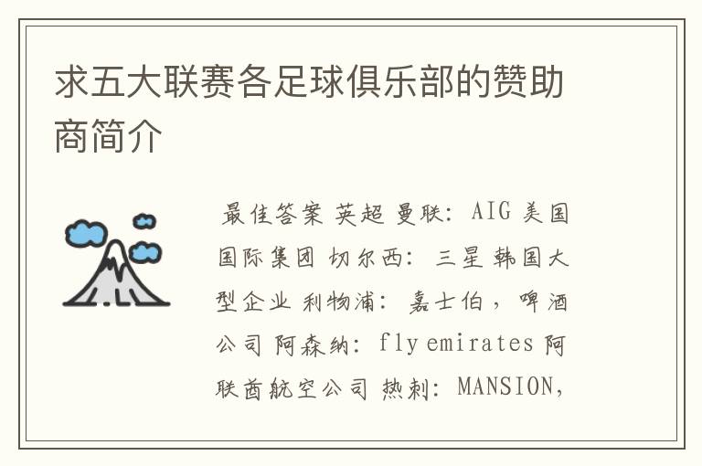 求五大联赛各足球俱乐部的赞助商简介