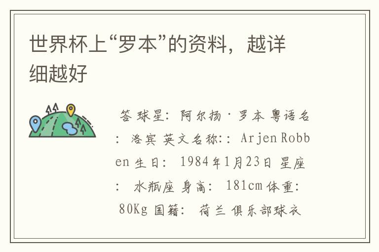 世界杯上“罗本”的资料,越详细越好