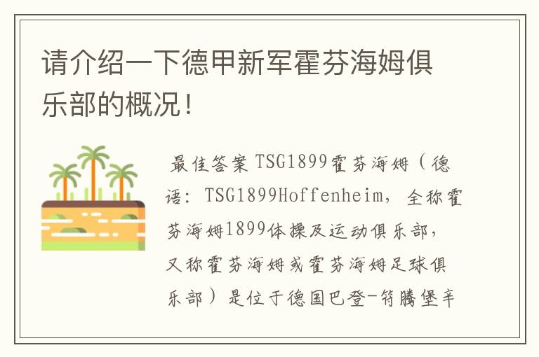 请介绍一下德甲新军霍芬海姆俱乐部的概况!