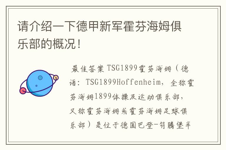 请介绍一下德甲新军霍芬海姆俱乐部的概况!