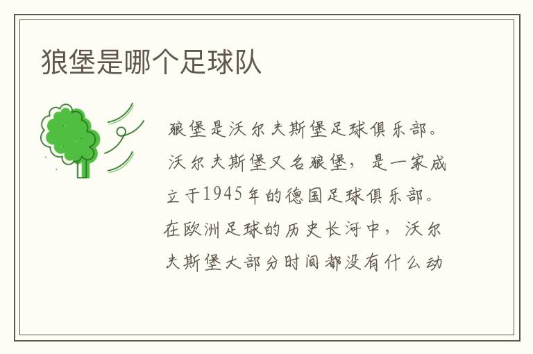 狼堡是哪个足球队
