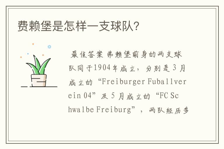费赖堡是怎样一支球队?