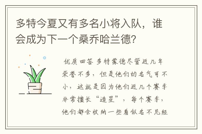 多特今夏又有多名小将入队,谁会成为下一个桑乔哈兰德?
