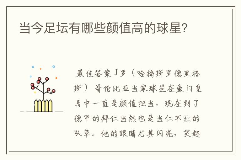 当今足坛有哪些颜值高的球星?