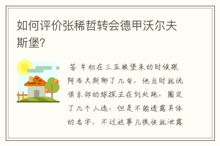 如何评价张稀哲转会德甲沃尔夫斯堡?