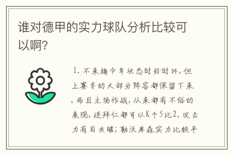 谁对德甲的实力球队分析比较可以啊?
