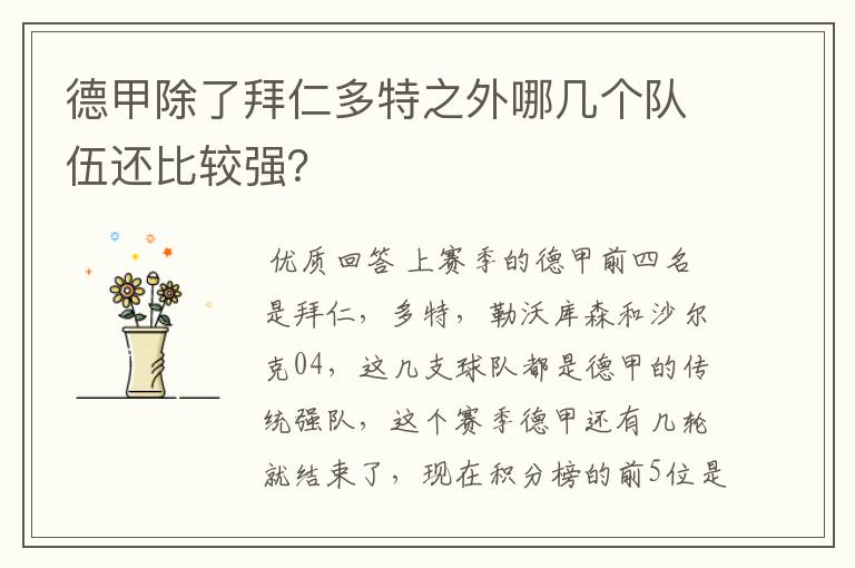 德甲除了拜仁多特之外哪几个队伍还比较强?