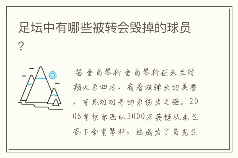 足坛中有哪些被转会毁掉的球员?
