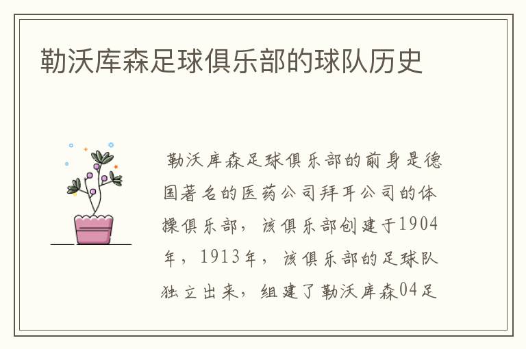 勒沃库森足球俱乐部的球队历史