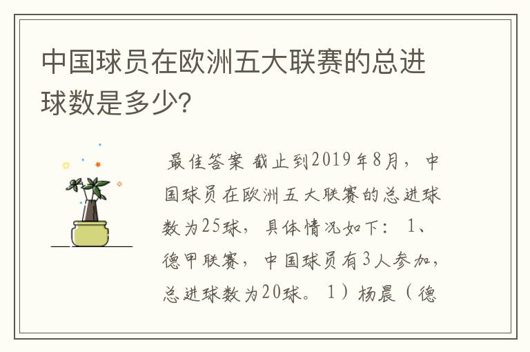 中国球员在欧洲五大联赛的总进球数是多少?