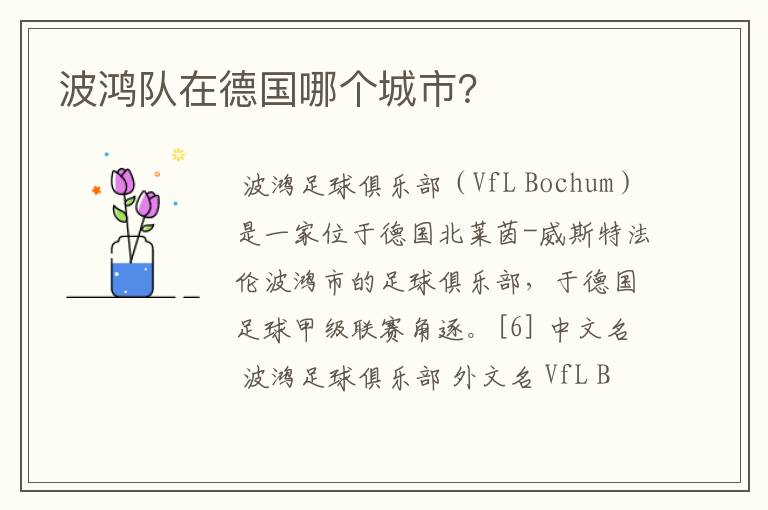 波鸿队在德国哪个城市?