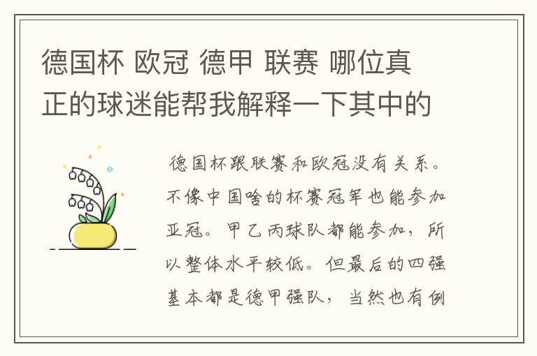 德国杯 欧冠 德甲 联赛 哪位真正的球迷能帮我解释一下其中的关系吗?