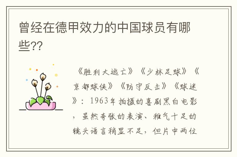 曾经在德甲效力的中国球员有哪些??