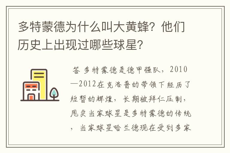 多特蒙德为什么叫大黄蜂?他们历史上出现过哪些球星?