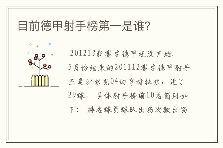 目前德甲射手榜第一是谁？