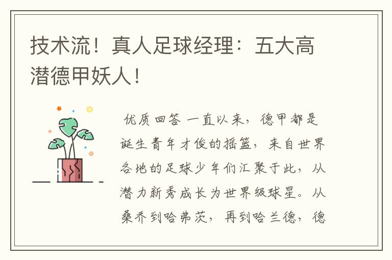技术流!真人足球经理:五大高潜德甲妖人!