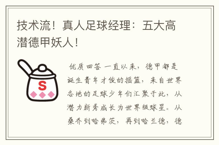 技术流!真人足球经理:五大高潜德甲妖人!