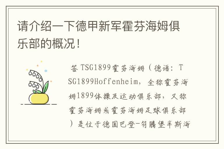 请介绍一下德甲新军霍芬海姆俱乐部的概况!