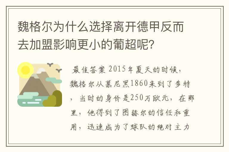 魏格尔为什么选择离开德甲反而去加盟影响更小的葡超呢?