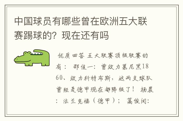 中国球员有哪些曾在欧洲五大联赛踢球的?现在还有吗