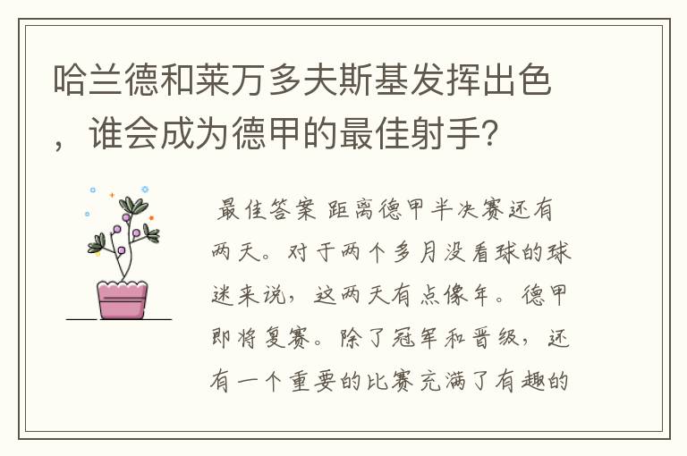 哈兰德和莱万多夫斯基发挥出色,谁会成为德甲的最佳射手?