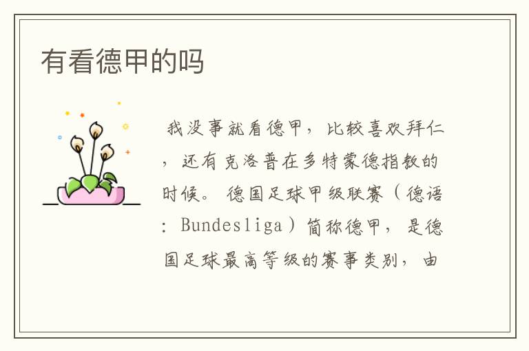 有看德甲的吗