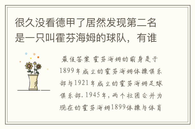 很久没看德甲了居然发现第二名是一只叫霍芬海姆的球队,有谁知道吗