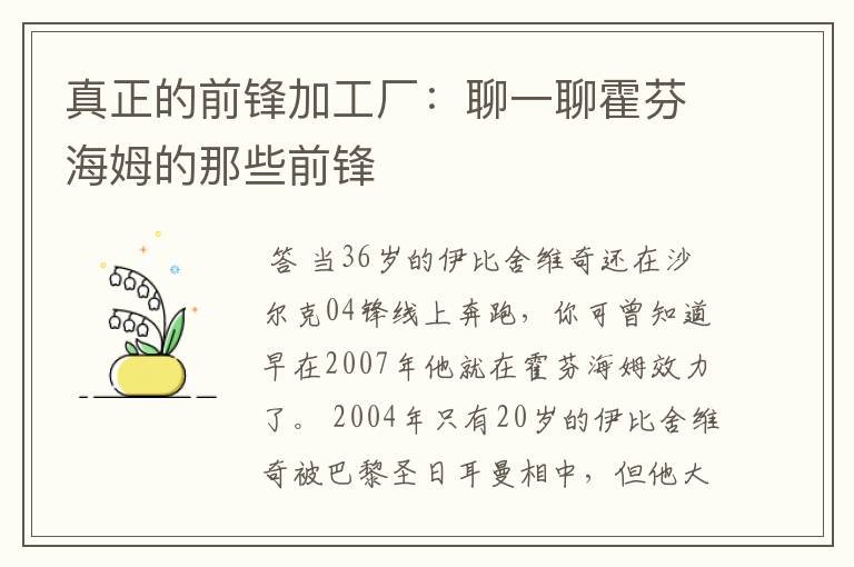 真正的前锋加工厂:聊一聊霍芬海姆的那些前锋