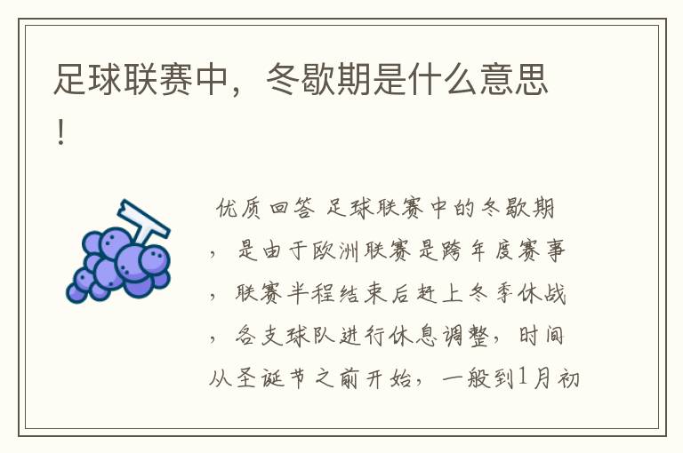 足球联赛中,冬歇期是什么意思!