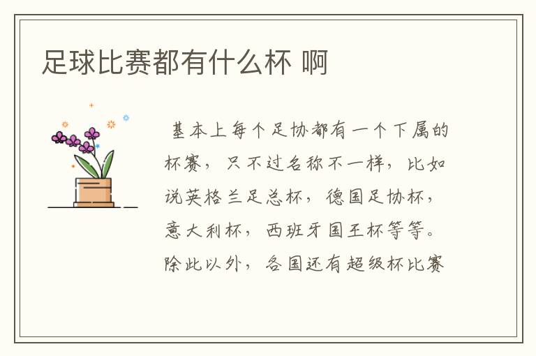 足球比赛都有什么杯 啊