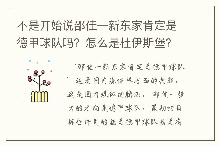 不是开始说邵佳一新东家肯定是德甲球队吗?怎么是杜伊斯堡?是德乙?邵佳一怎么不去德甲了?