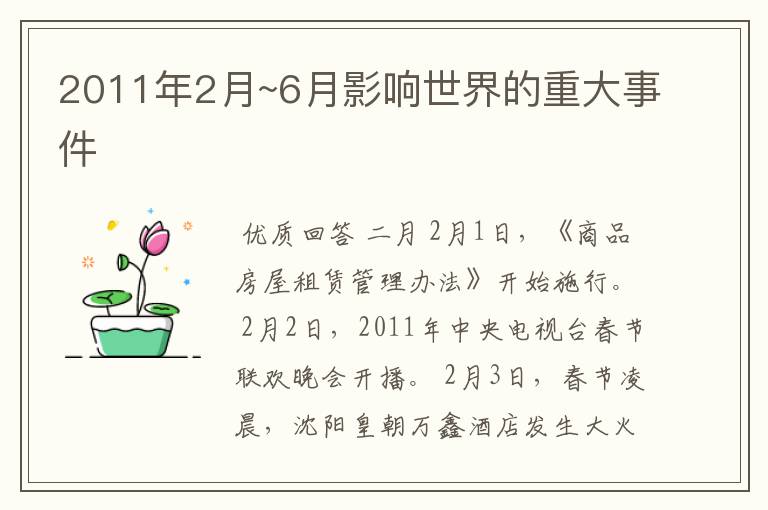 2011年2月~6月影响世界的重大事件