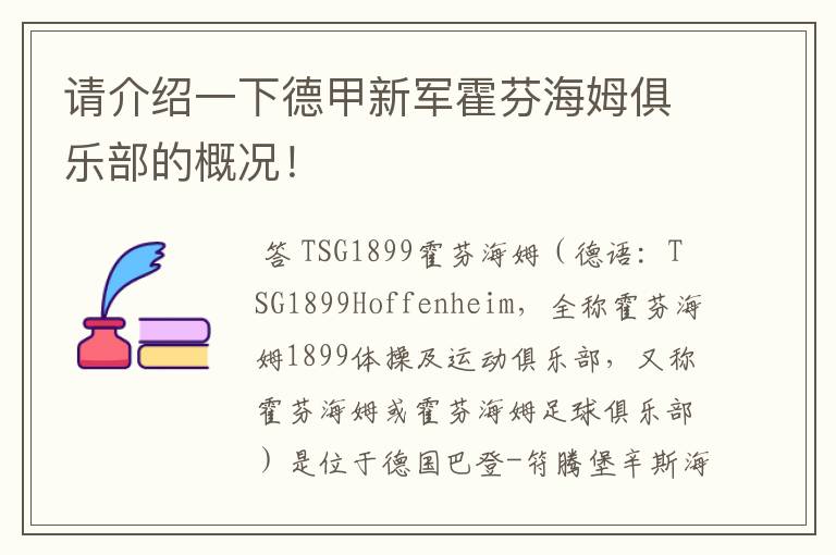 请介绍一下德甲新军霍芬海姆俱乐部的概况!