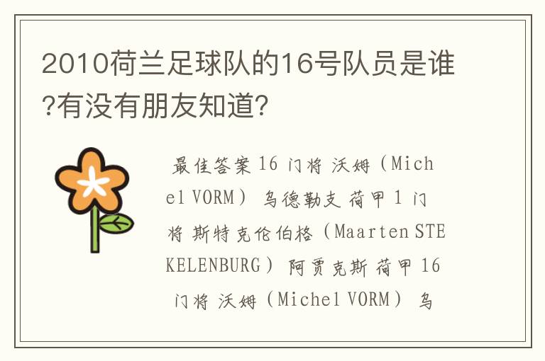 2010荷兰足球队的16号队员是谁?有没有朋友知道?