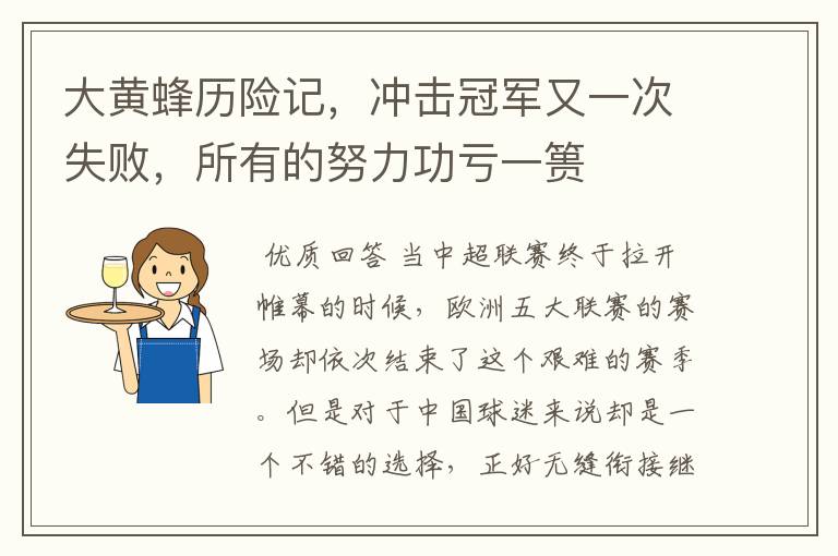 大黄蜂历险记,冲击冠军又一次失败,所有的努力功亏一篑