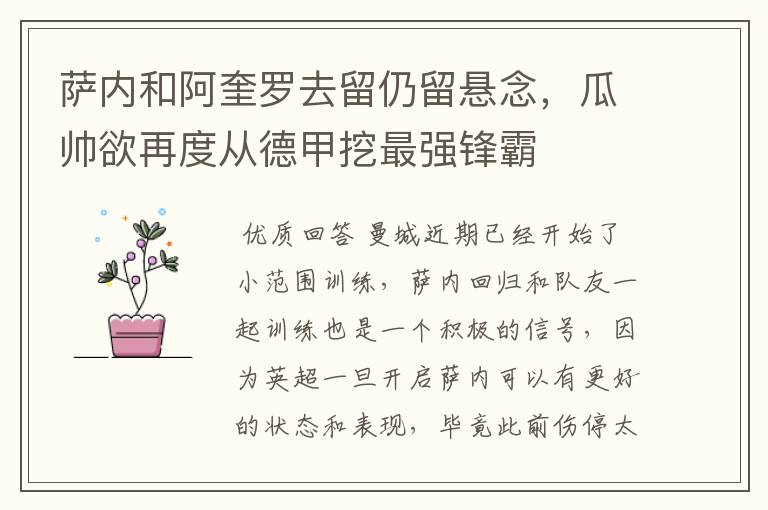萨内和阿奎罗去留仍留悬念,瓜帅欲再度从德甲挖最强锋霸
