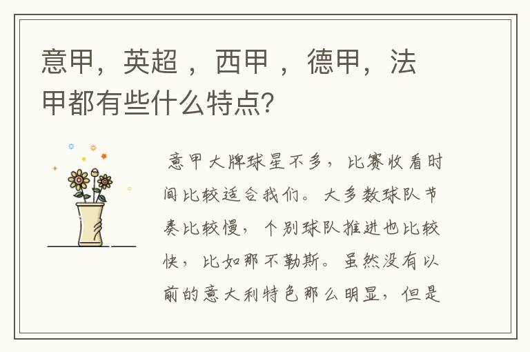 意甲,英超 ,西甲 ,德甲,法甲都有些什么特点?