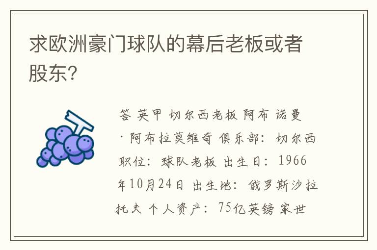 求欧洲豪门球队的幕后老板或者股东？