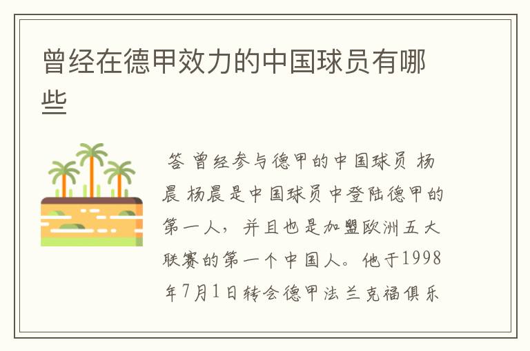 曾经在德甲效力的中国球员有哪些