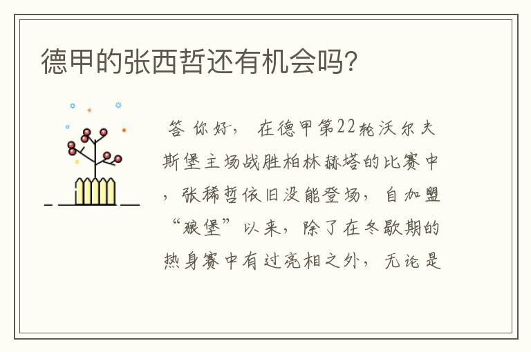 德甲的张西哲还有机会吗?