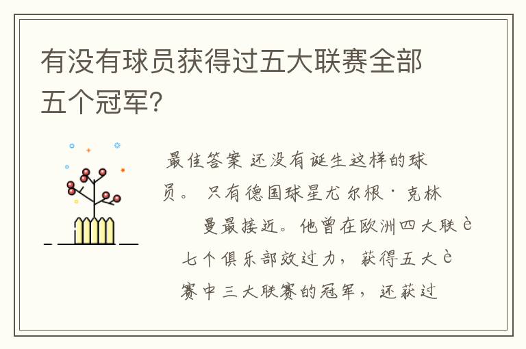 有没有球员获得过五大联赛全部五个冠军?
