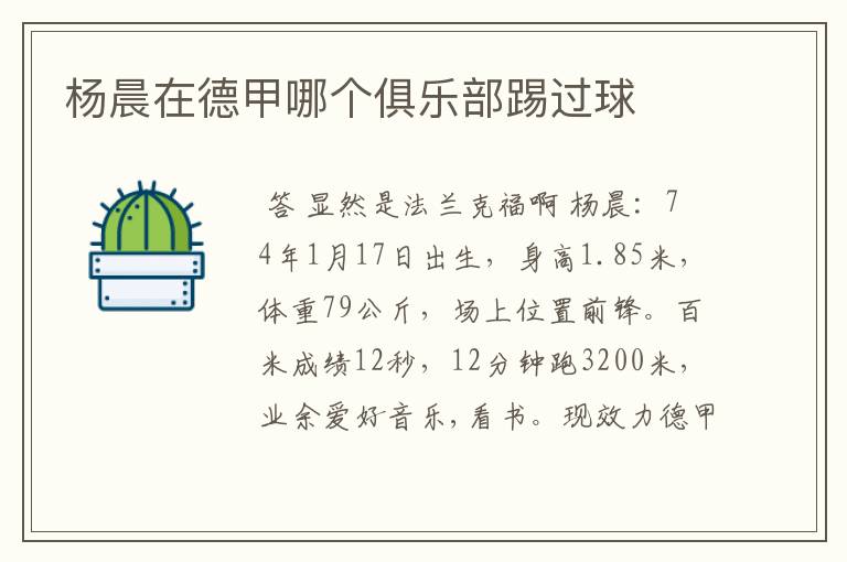 杨晨在德甲哪个俱乐部踢过球
