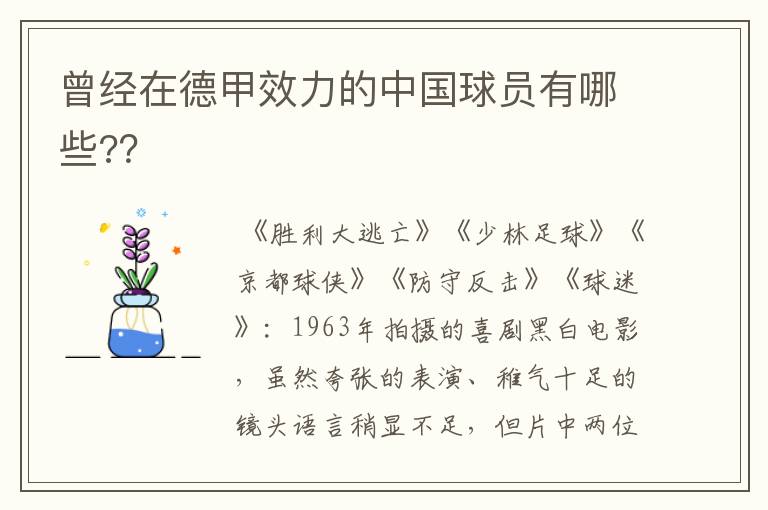 曾经在德甲效力的中国球员有哪些??