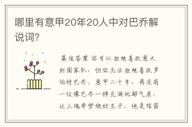 哪里有意甲20年20人中对巴乔解说词?