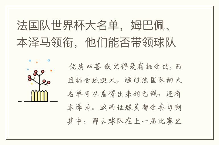 法国队世界杯大名单,姆巴佩、本泽马领衔,他们能否带领球队夺冠?